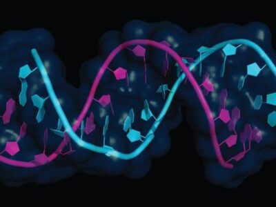 Micro-RNA (miRNA) In Oncology- Current Perspectives