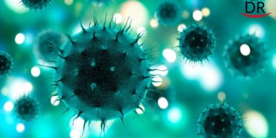 Corona Virus - An Emerging Epidemic