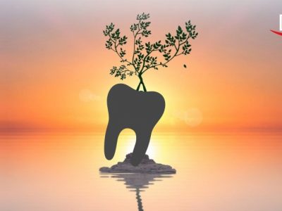 Holistic Oral Care Trends in Dentistry