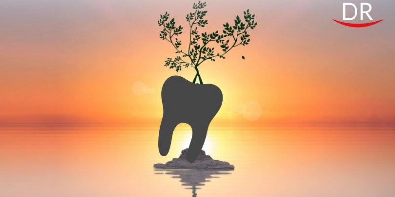 Holistic Oral Care Trends in Dentistry