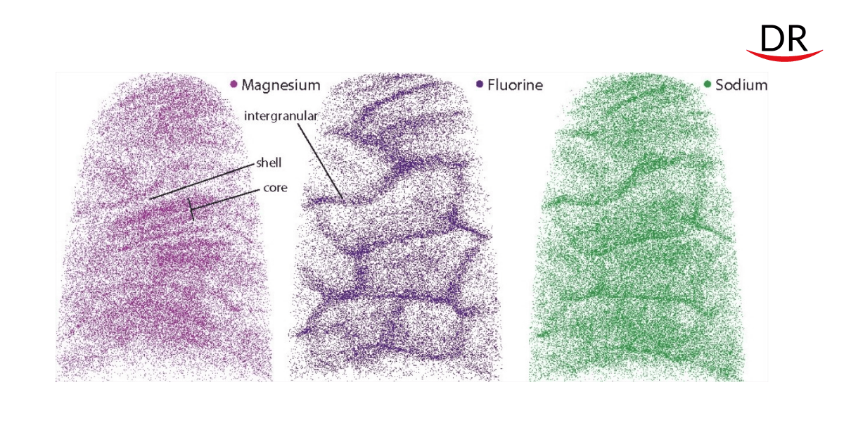 New Data on the Structure of Human Tooth Enamel