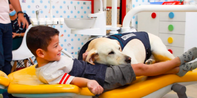 Meet Aldo: Ecuador's first dental assistant dog cover