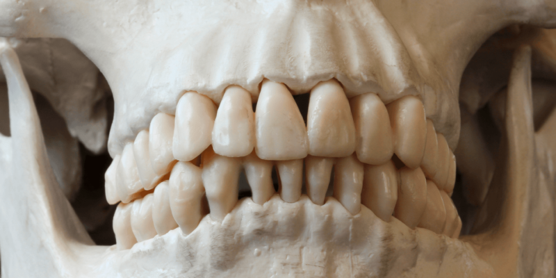 Researchers Discover 4,000-Year-Old Plague DNA in Ancient British Teeth cover