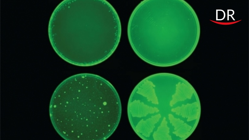 ai drug resistance antibiotic