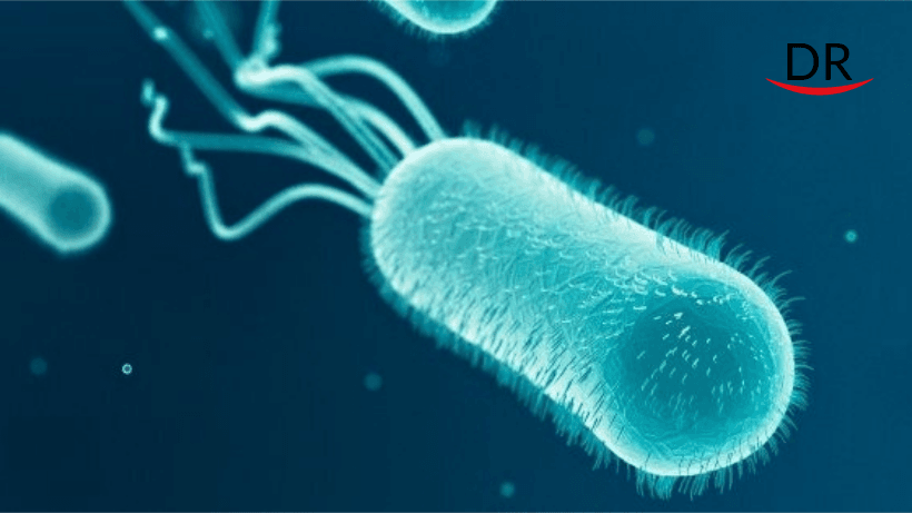 A New Study Revealing Structure Of Pili Could Lead to Strategies For Fighting Gum Disease.