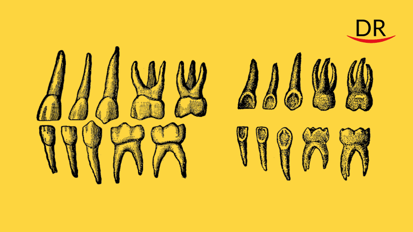 Can Teeth Be Considered ‘Chronicles’ of a Person’s Life?