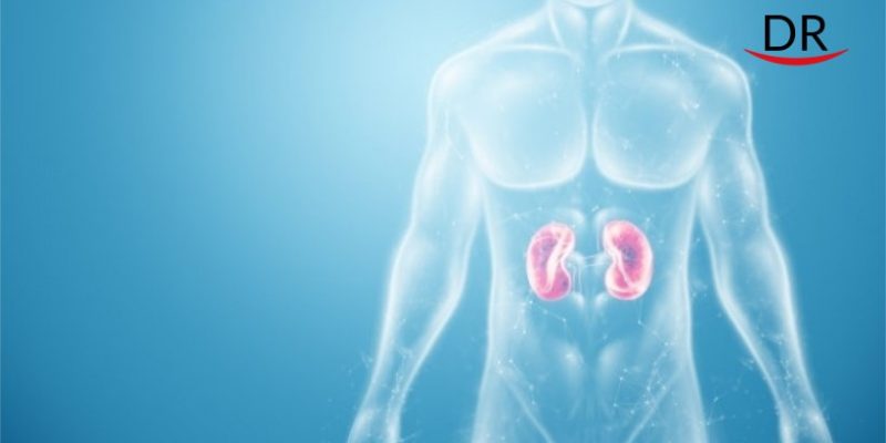 Inflammation in Gums can Affect Kidney Function-A Recent Study.