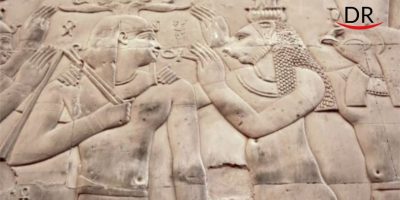 Top 10 Cool Prostho Facts!