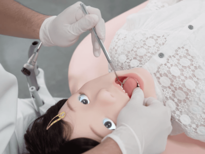 A Robot That Actually Vomits And Convulses To Practically Train Dental Students