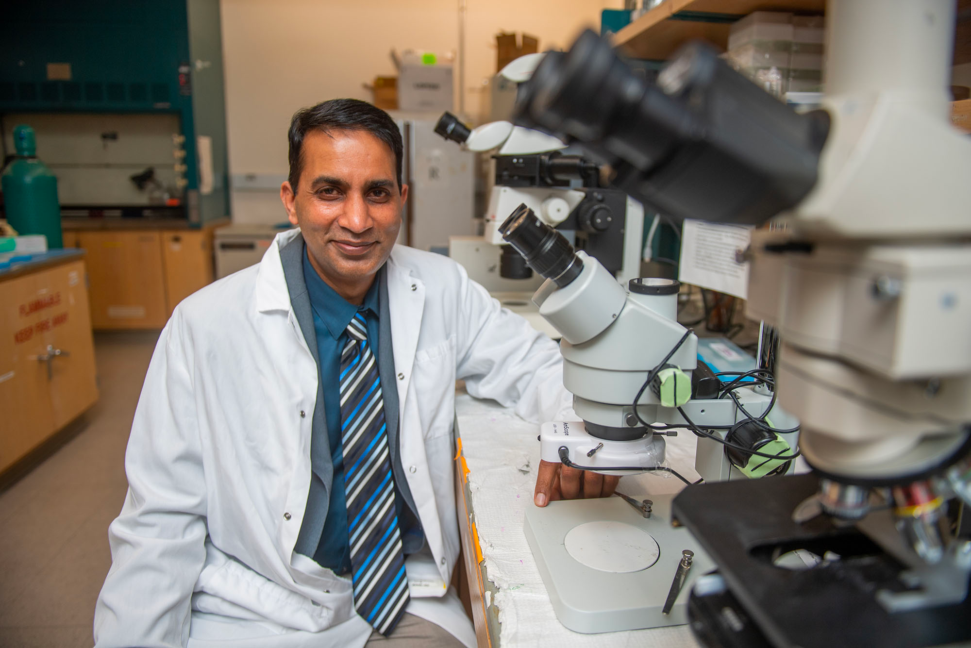 Is It Possible To Prevent Common Oral Cancers By Blocking Or Deleting A Protein? cover
