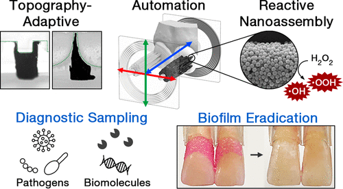 Automated Removal of Highly Adhesive Biostructures from Complex Tooth Surfaces-A Study. cover