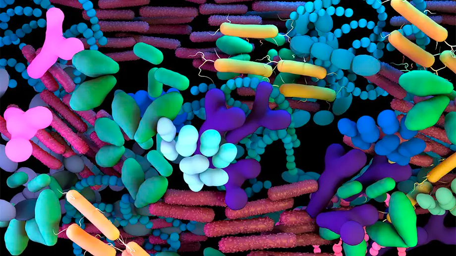 Periodontal microbes responsible for symptoms of depression- A Study Reveals cover
