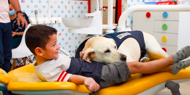 Meet Aldo: Ecuador's first dental assistant dog cover