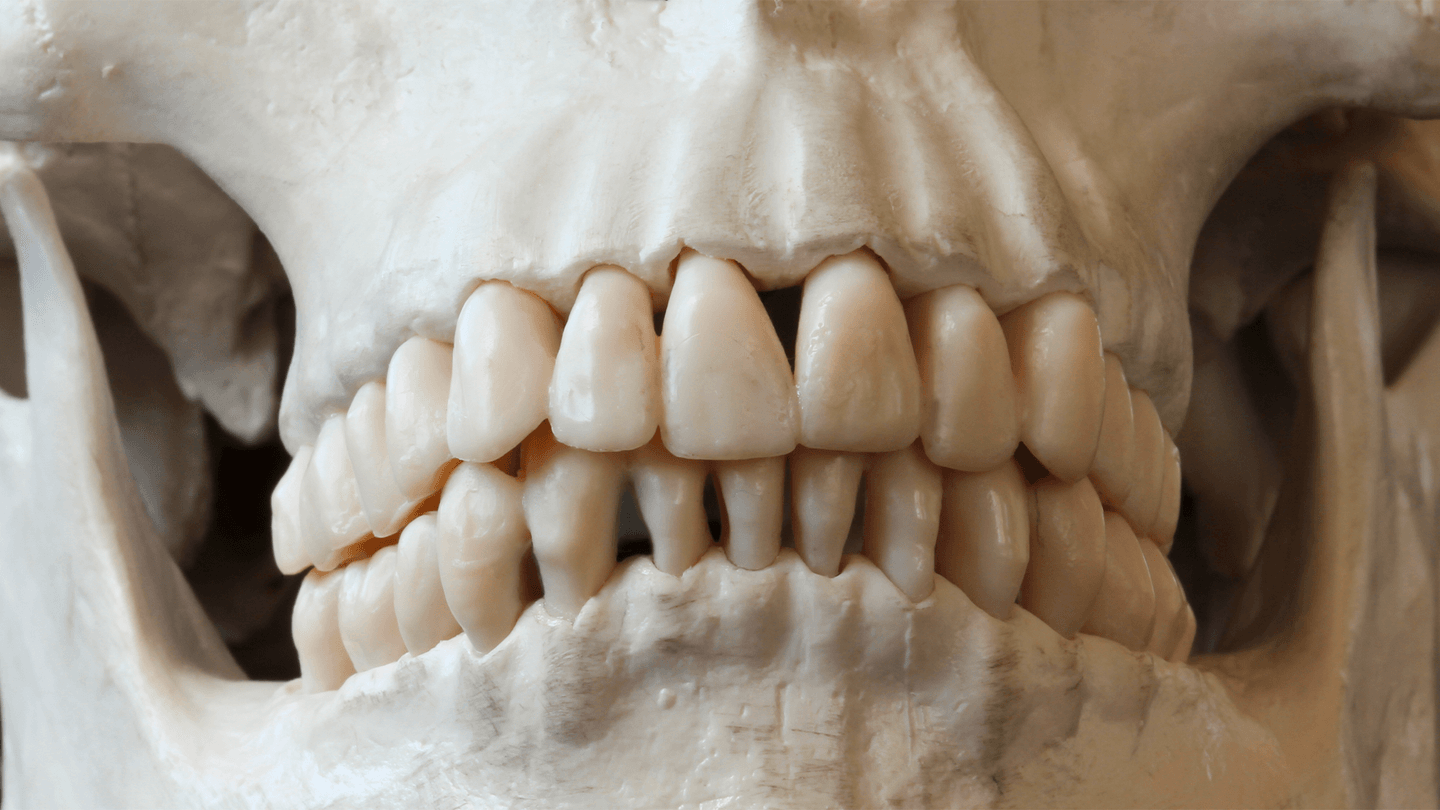 Researchers Discover 4,000-Year-Old Plague DNA in Ancient British Teeth cover