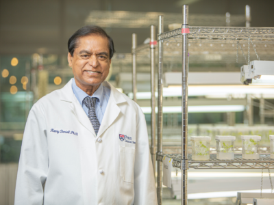 Plant-Based Oral Insulin Delivery Shows Promise in Regulating Blood Sugar cover